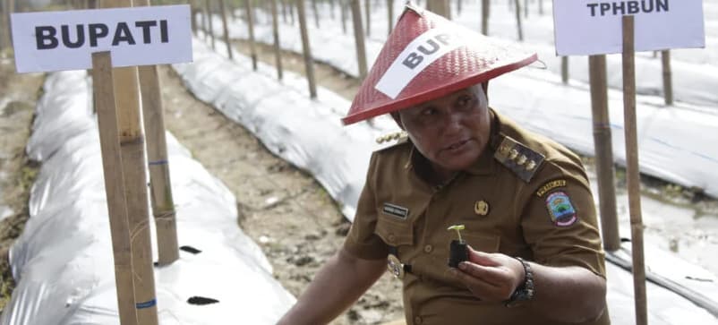 Bupati Nanang Ermanto Tanam Pohon Melon di Desa Trimomukti Kecamatan Candipuro